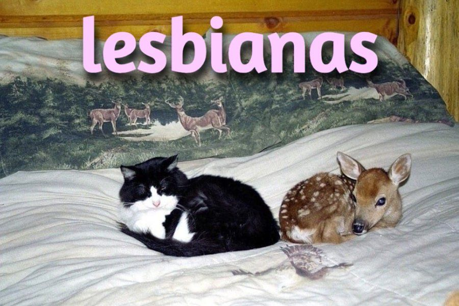 withmydoes's tweet image. 