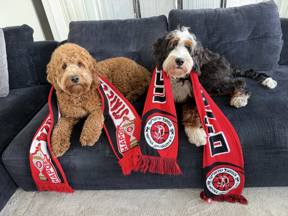 Matan Adelson tweet media