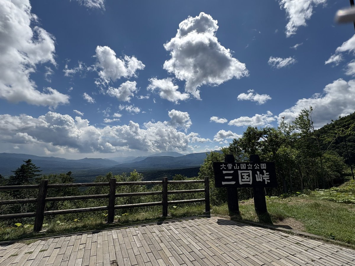 #今年一年を写真4枚で振り返る