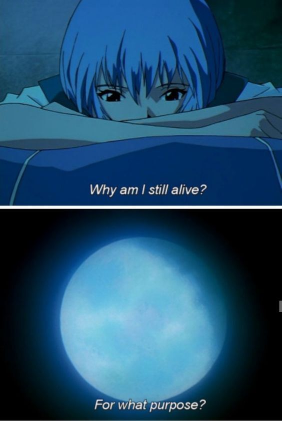 Evangelion Perfect Shots (@evangelionshots) on Twitter photo 