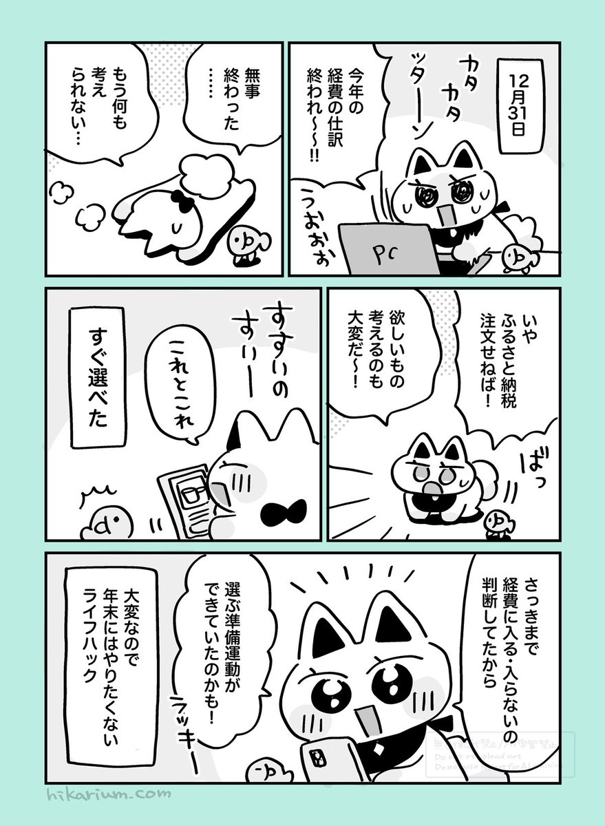 絵日記まんが「仕訳ハイでふるさと納税」
#ヒカリビタミン絵日記 