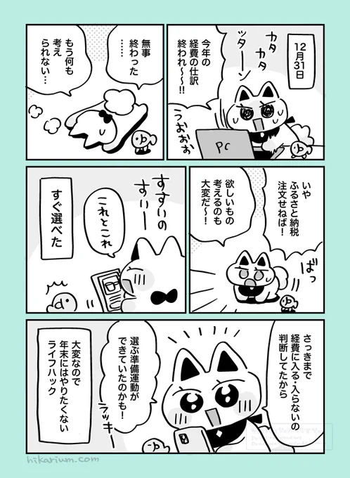 絵日記まんが「仕訳ハイでふるさと納税」
#ヒカリビタミン絵日記 