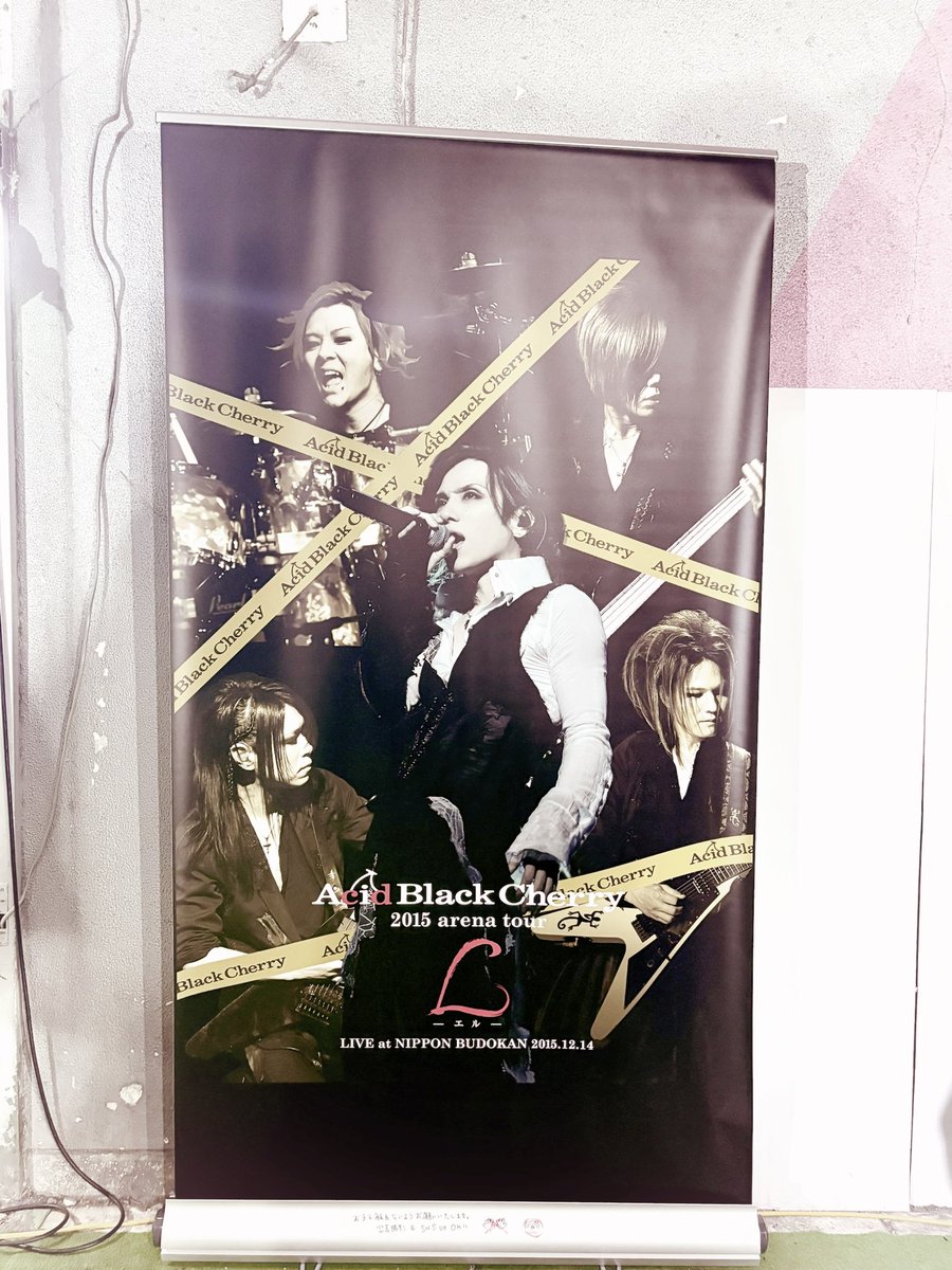 今年はAcid Black CherryとJanne Da Arcのお陰でちょー幸せな1年になり