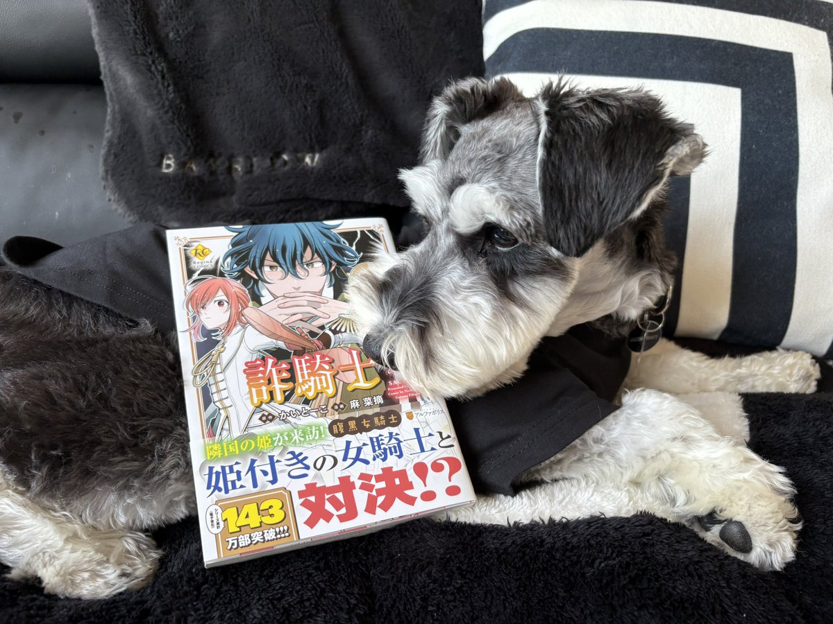 2025年は念願のイッヌを迎えて日常が大きく変化した1年でした。出不精の極みな私が毎日8000歩以上歩くようになり近所に知り合いが増え他人との会話も増え色々な場所へ出掛けるようになったありがとうおジジ丸

仕事面はかなりのんびりだったので、来年は仕事も頑張るぞ😤来年もよろしくお願いします！