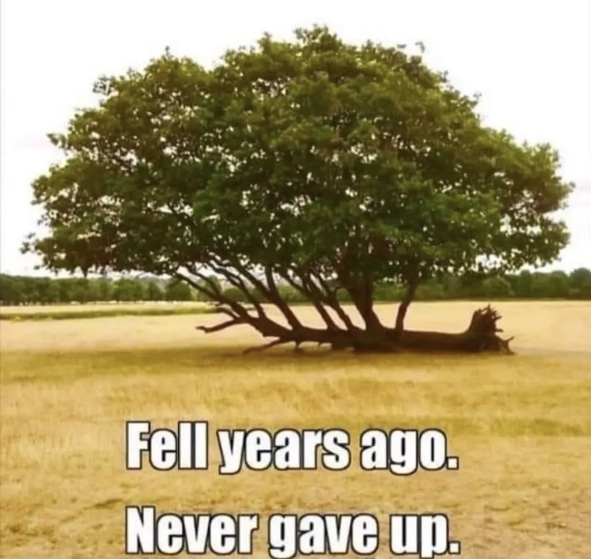 If you like give up.