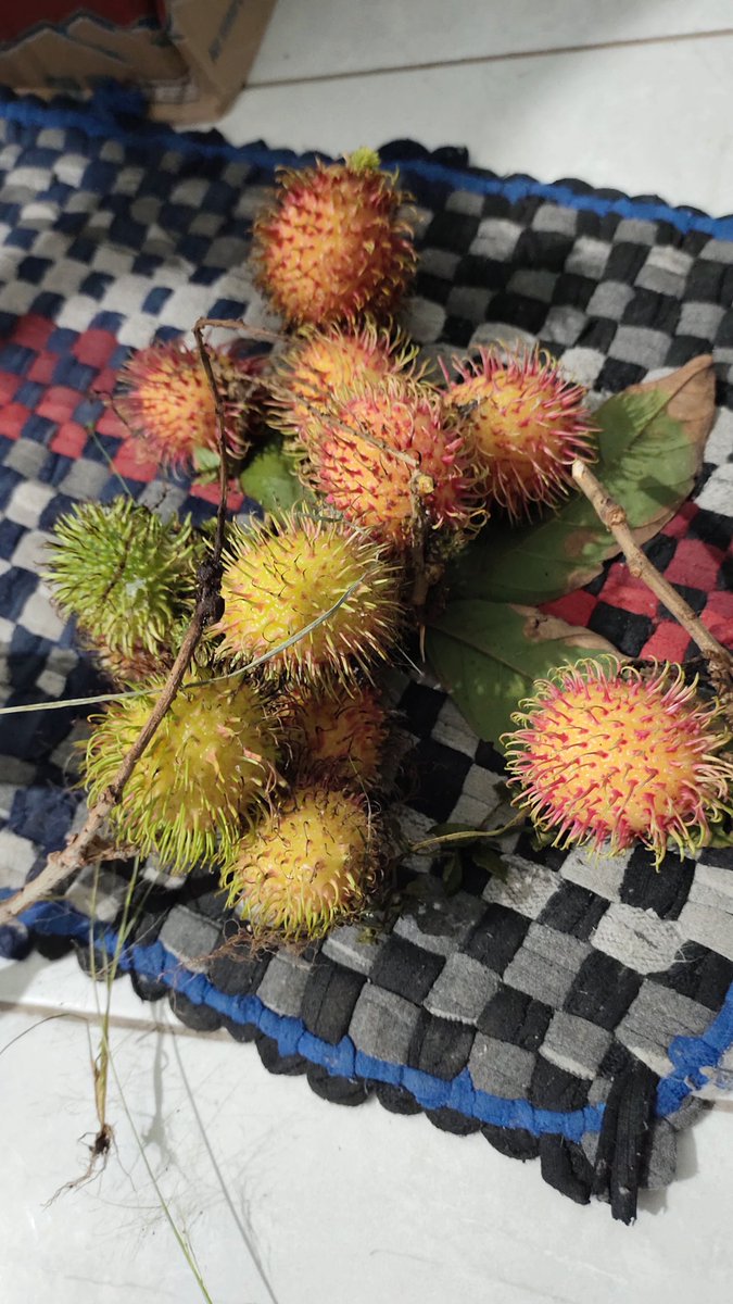 Ulilnih's tweet image. Duren kak