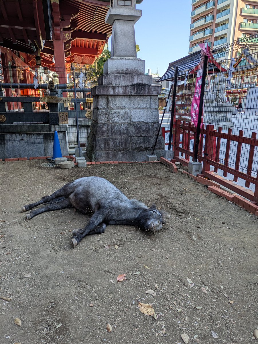 令和8年は午年
良いお年をお迎えください...!