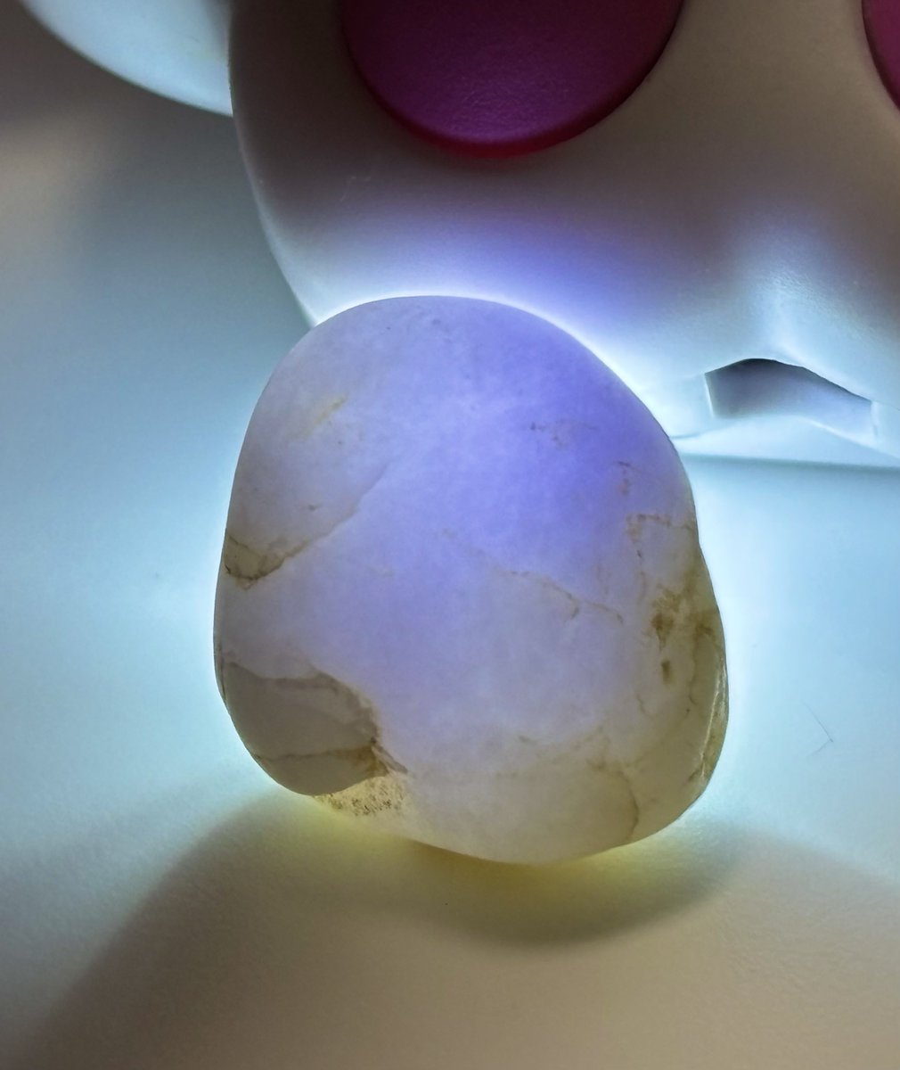 今年2025年のベストラベンダー翡翠❗️