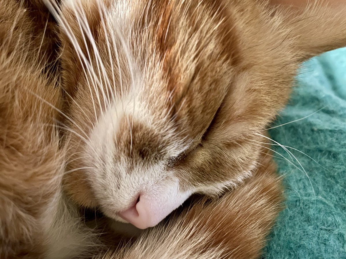 Man gaat straks de late dienst in. Vrouw en ik passen samen op…#zorg #ggz