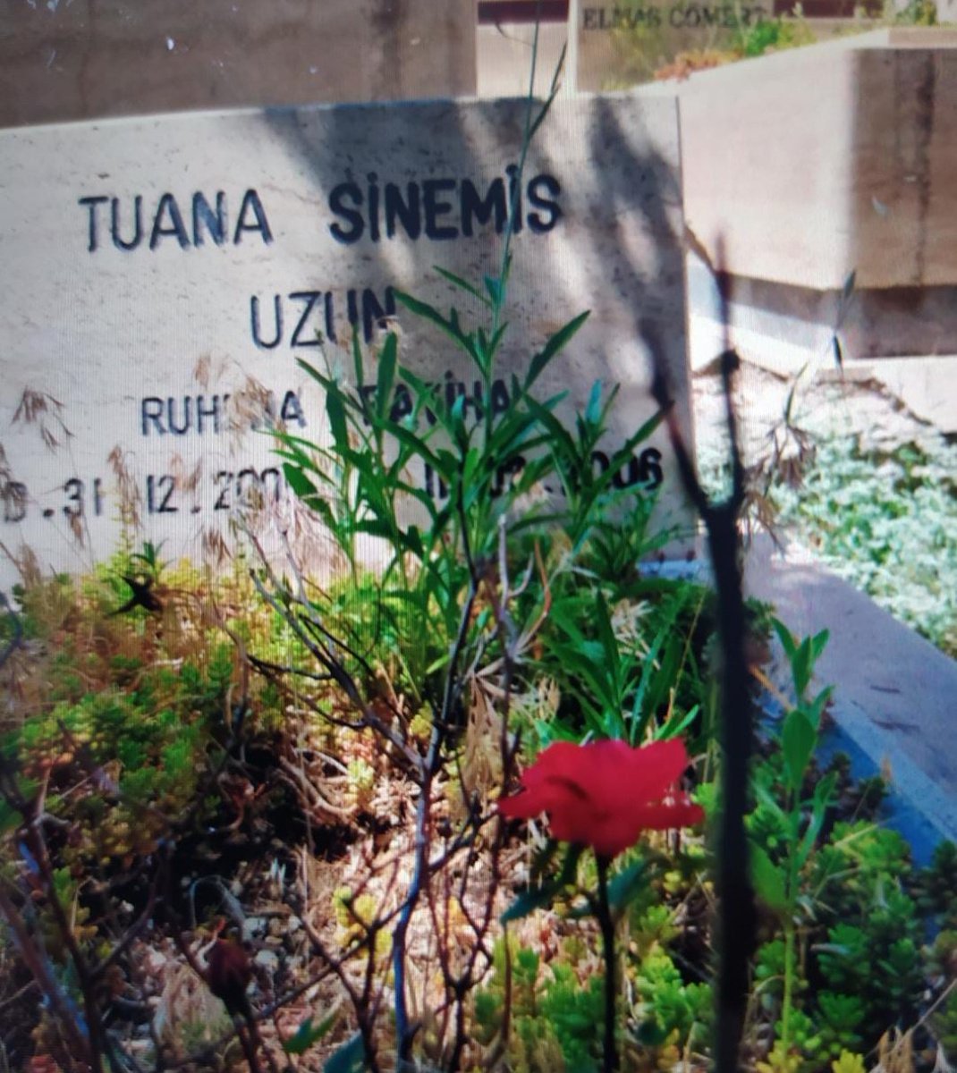 31 Aralık deyince bizde, kızımın doğduğu gündür❤️🌹

31.12.2005
11.02.2006

Kavuşma gününü yaratan Rabbime şükürler olsun🤲