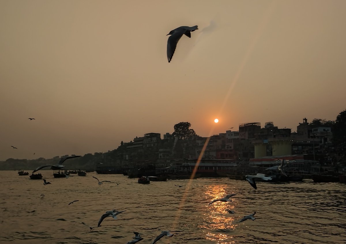 tech_ji's tweet image. 今年は感謝の年でしたよ！
たくさんの仲間と過ごしたり出会いもあったり27年ぶりにガンジス川で目を開けて沐浴したり。
ただのなんでもない束縛されてる会社員だから自由を掴めると思ってるよ☆
自由だったら自由ないしね！
2025年のライブ？
85本でした！
みなさんよいお年を～来年もよろしくね！