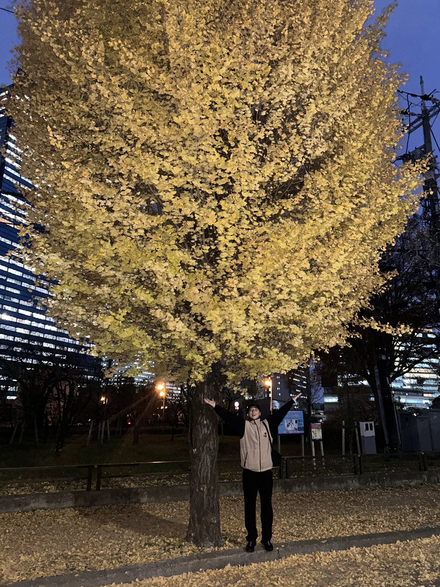 2025年ありがとう

良いお年を🌸

#うりぼう写真展