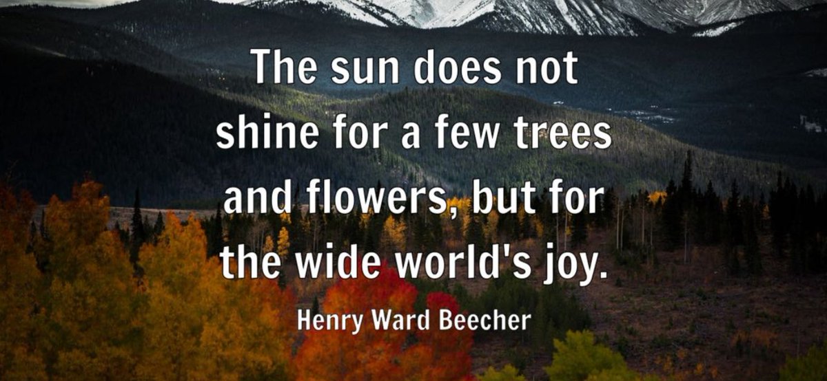 Greatest Aviator (@yusuf_wale) on Twitter photo 