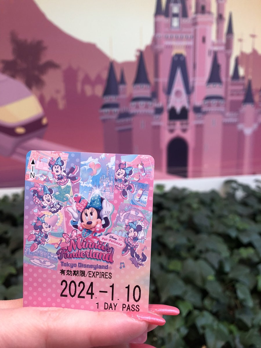 早くミニファンになれ〜🥰 可愛いミニーちゃんに会えるの楽しみにし