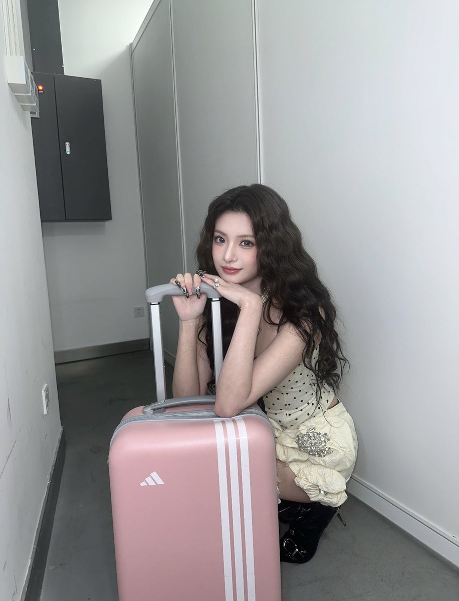 YIREN UPDATES tweet media