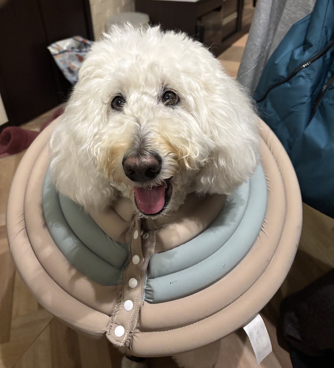 なつぴ (@natsupikkk) / Posts / X