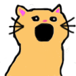 Shemcat tweet media