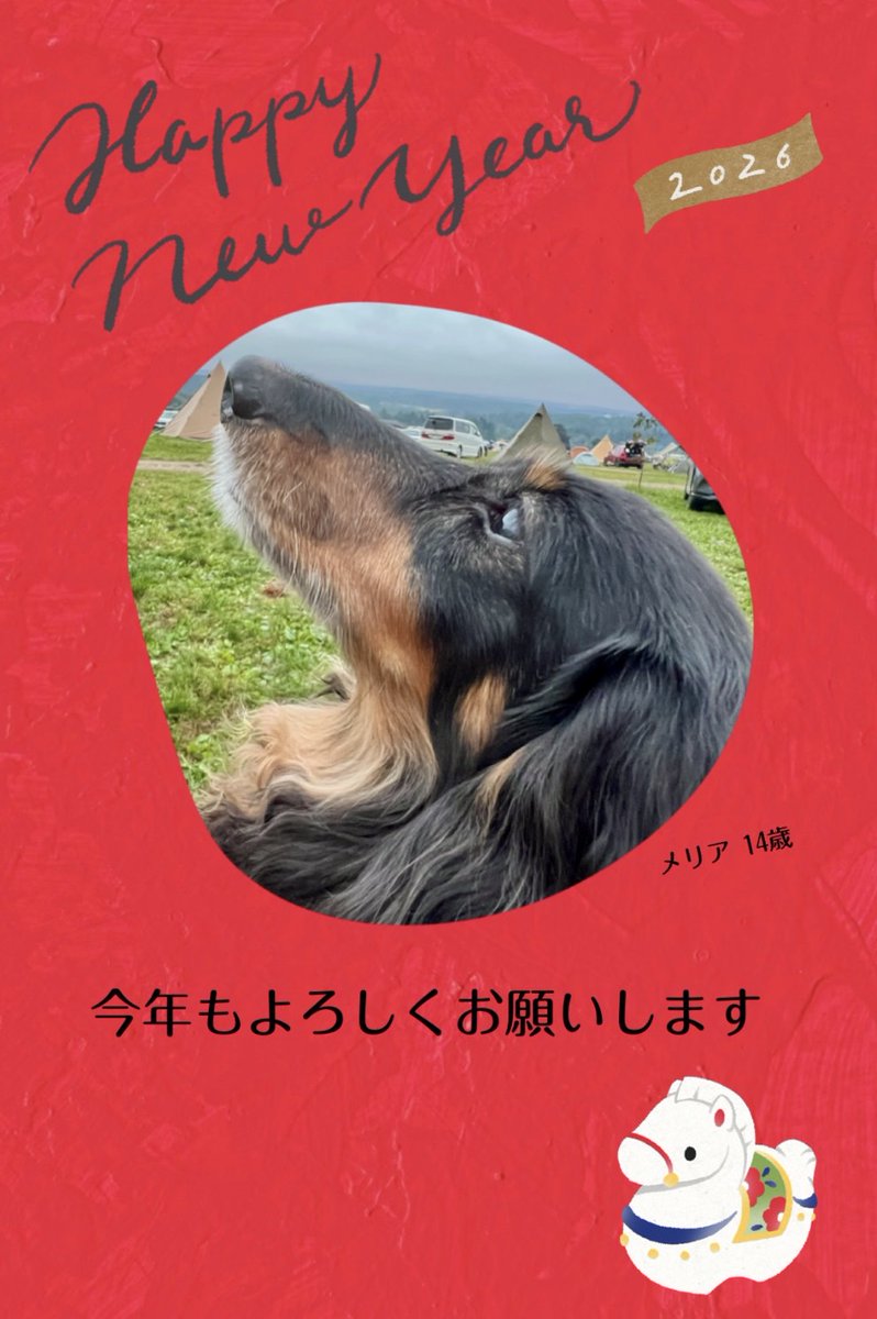 Smile.Fun.Life いしちゃん tweet media