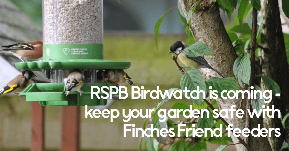 Finches Friend tweet media