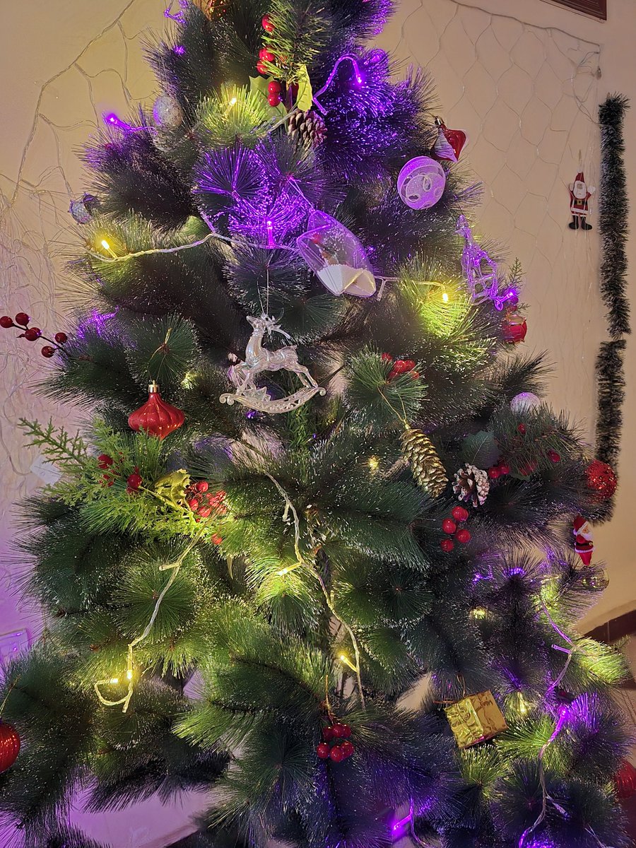 Nourhan ElSherief 🇵🇸نورهان الشريف tweet media