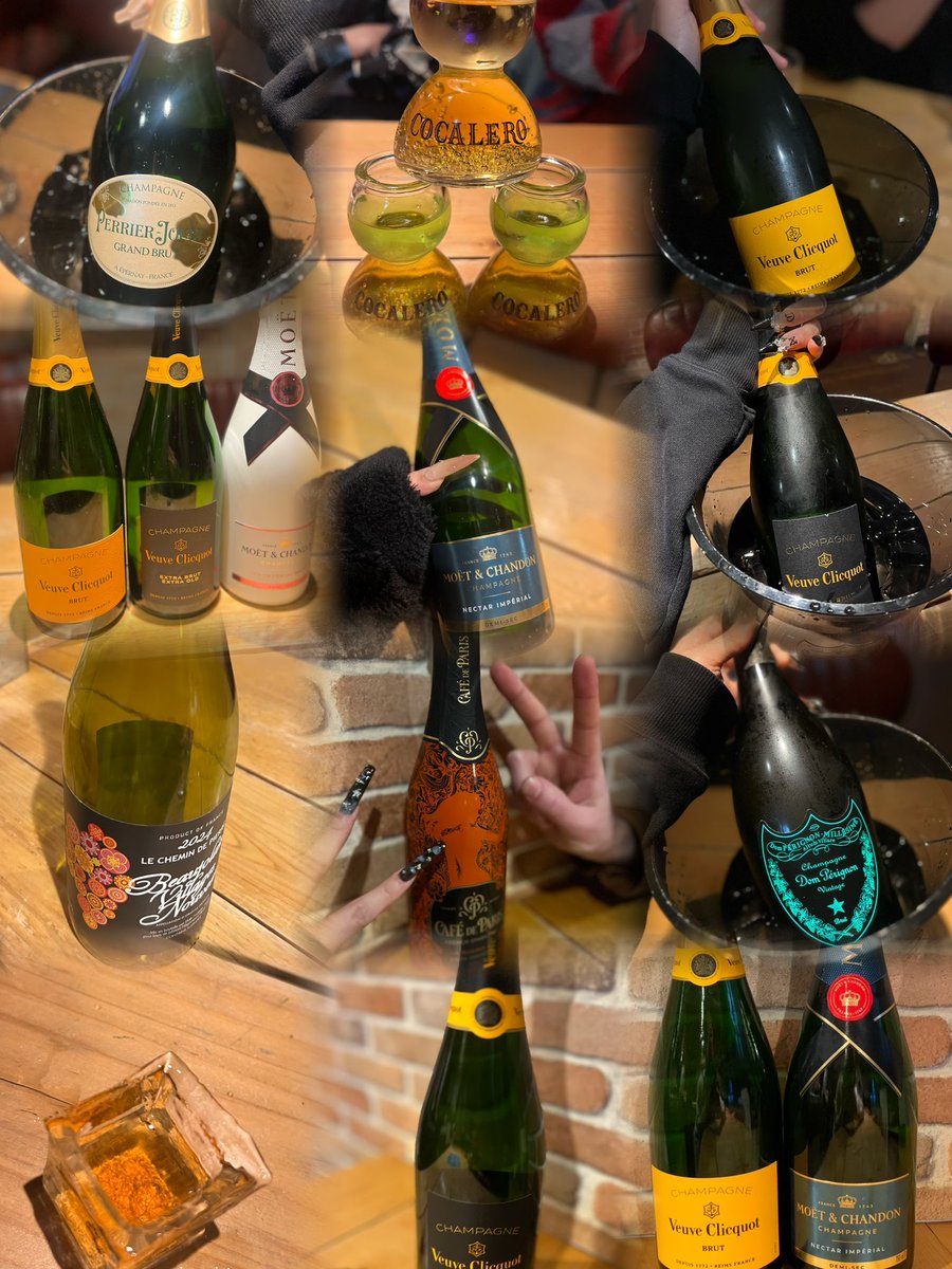 紫音 (@shion_lebijou) / Posts / X