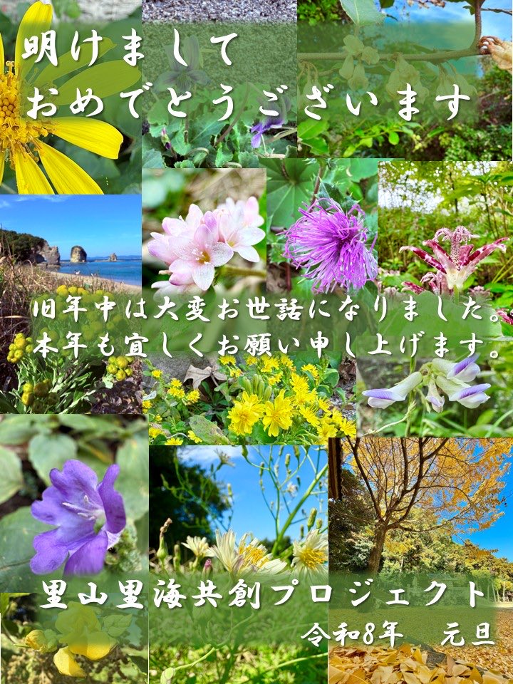 XSatoyamaUmi's tweet photo. https://t.co/eN8ORlqVxO