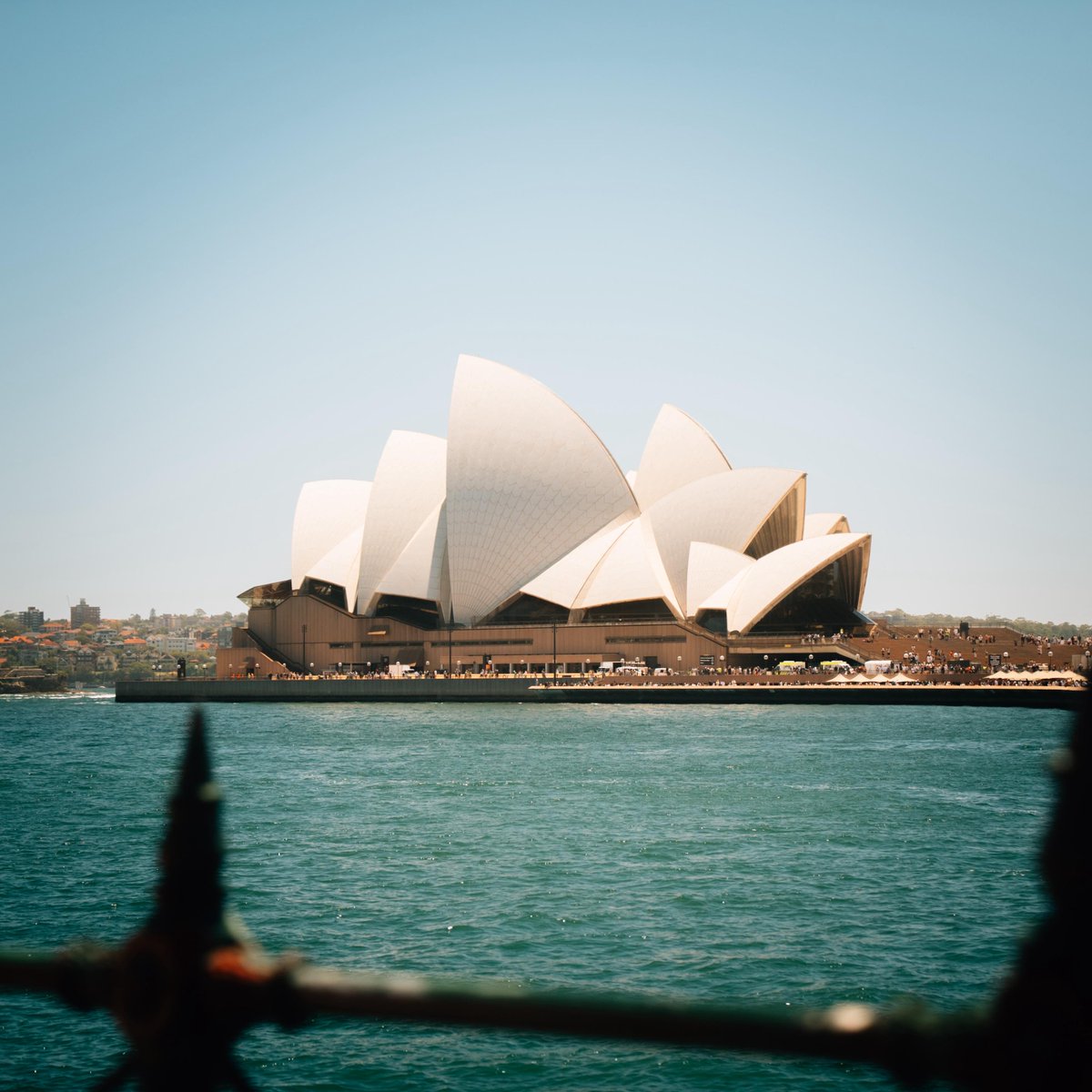 Elite Sports Travel tweet media