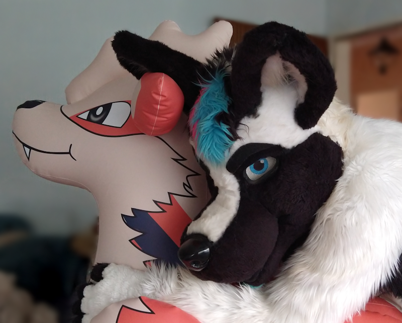 RyanwuffAD's tweet photo. Arcanine cuddles~

#NSFW #nsfwacc #nsfwtwt #fursuit #murrsuit #yiff #furry #furryporn #nsfwfurry #infla #inflatable https://t.co/SRIEAOxK6k