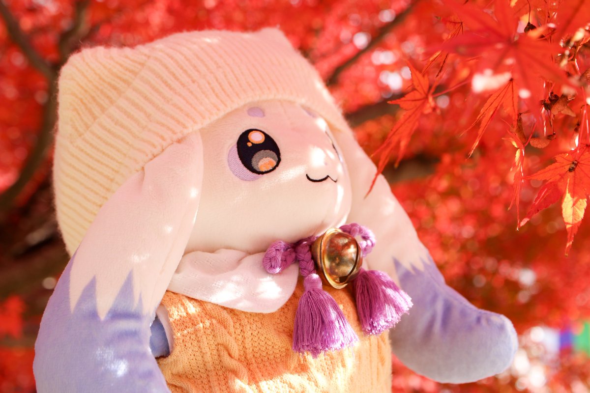 ☃️🌸ちょまと過ごした2025年🏖️🍁 #2025年自分が選ぶ今年の4枚