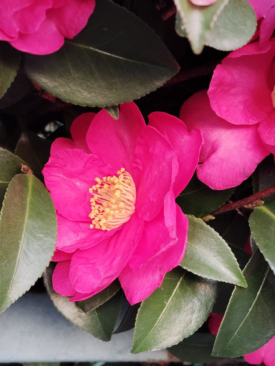 Mimu🦙🌼 (@Mimu__Memo) / Posts / X