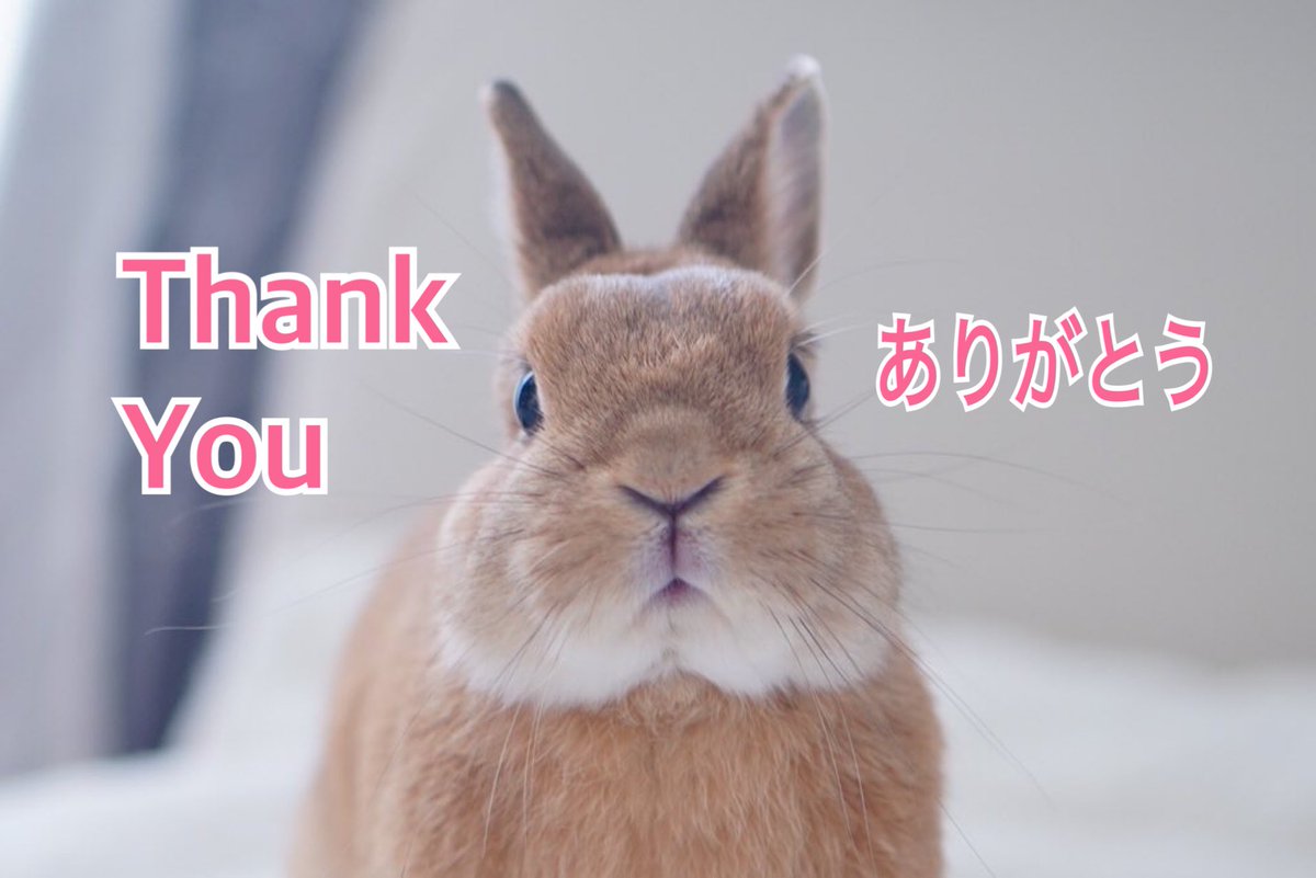 チビ太(CHIBITA🐰)のママ太 (@piccolocibi) / Posts / X