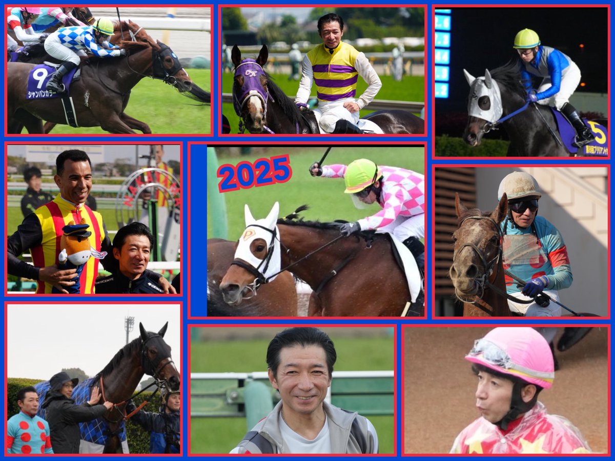 競馬 鞭 個人的には2025年は、うっちーがピコに乗ってくれたことが一番嬉しかっ