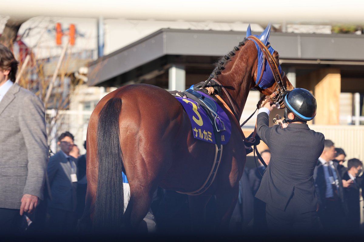 TY_170cm_'s tweet photo. 競馬納めでした🏇 https://t.co/VOXPcOB9nd
