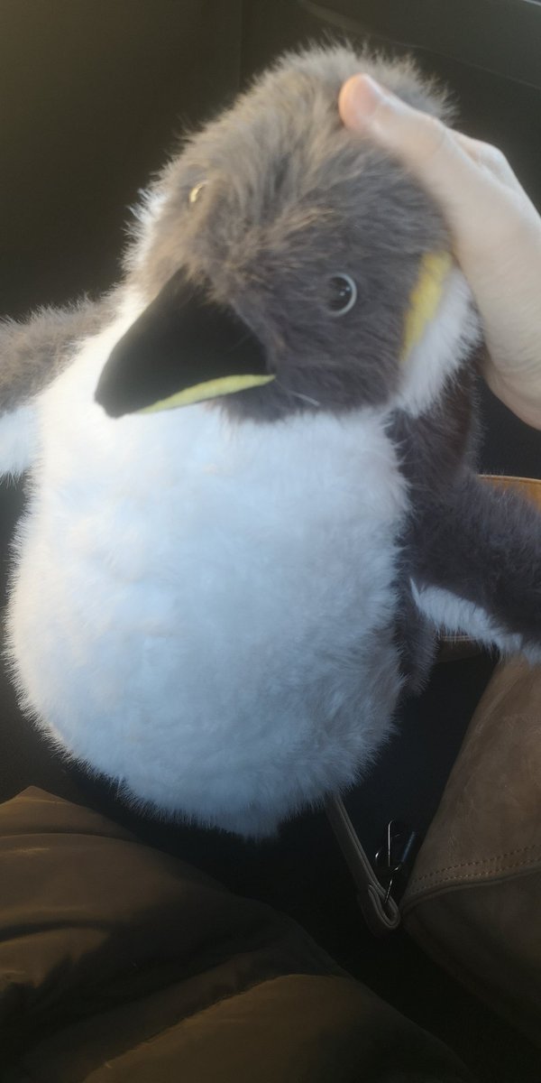 Решила себе сделать порадок самостоятельно, посмотрите на моего пинвинчика.