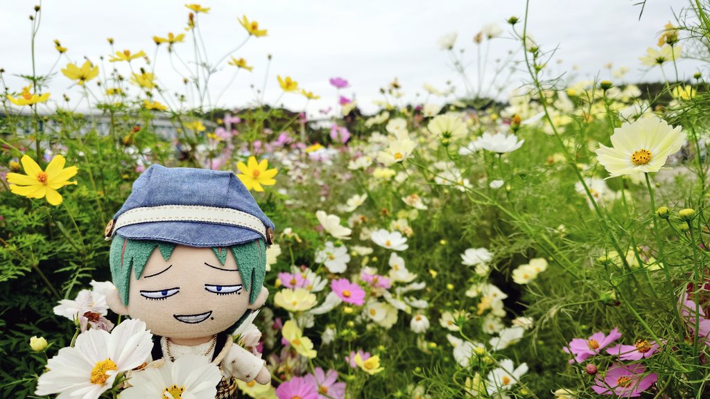 なつみかん (@to88_maki77) / Posts / X