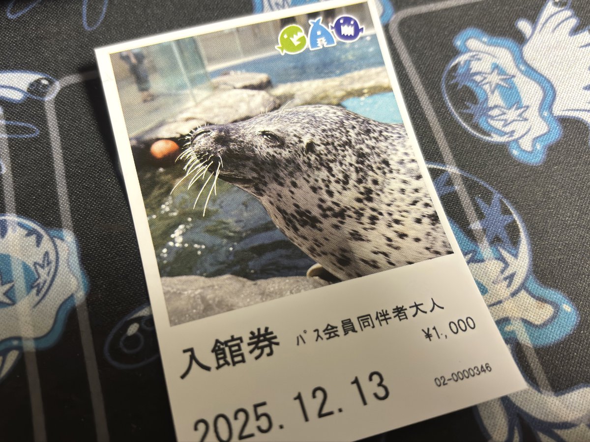 あざさん🦭あざらクリエイター (@phoca_studio) / Posts / X