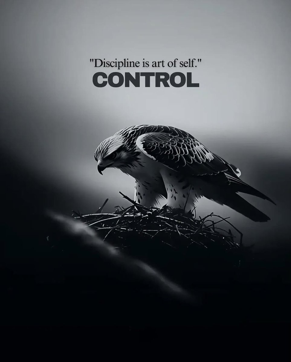 MindMatterMoney's tweet image. Man to man.