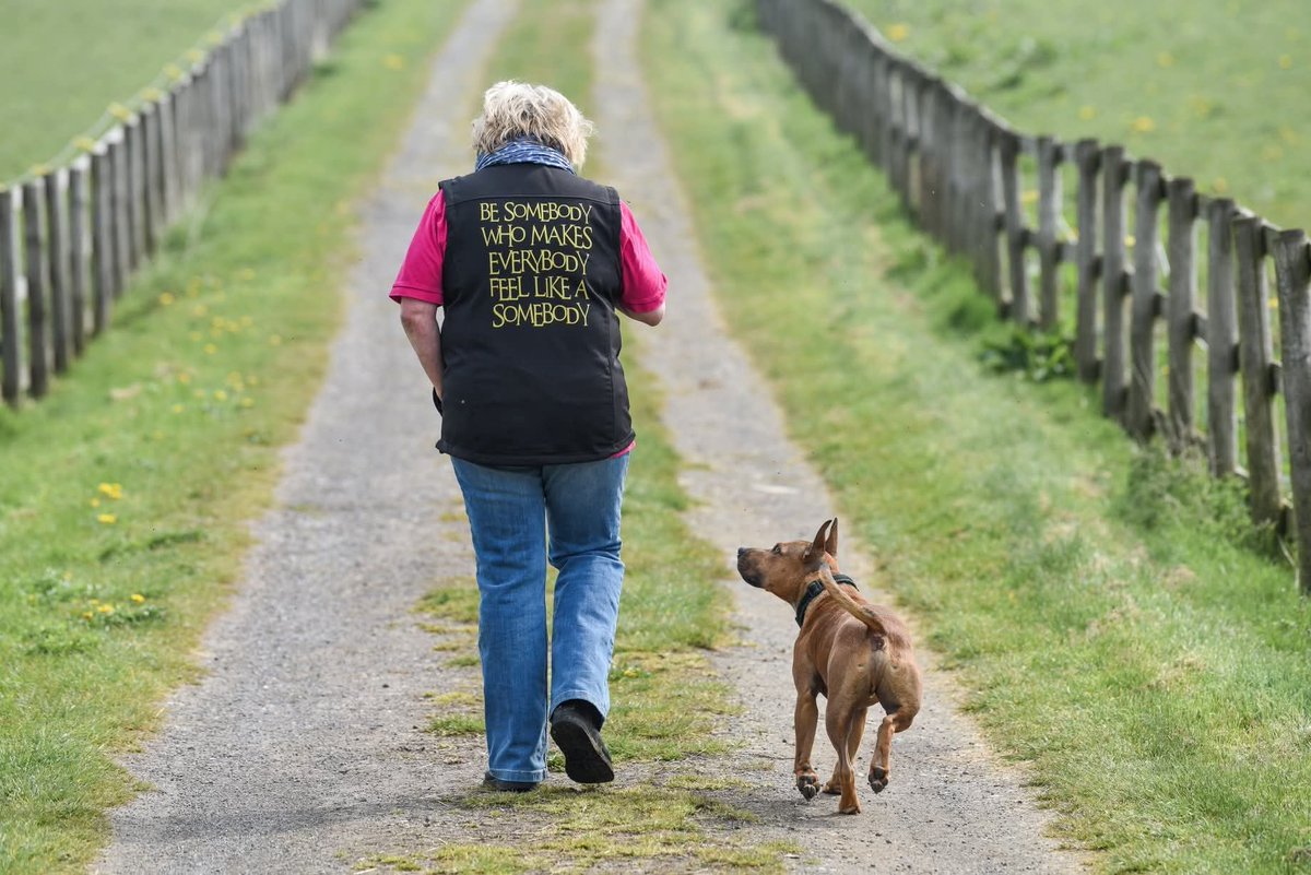 The saddest news yesterday was the death of Sarah Fisher. She taught us to to really stop and see how our animals  were feeling. She leaves a huge legacy in her ACE training. She was the kindest, loveliest person. I was fortunate to spend a short time chatting with her years ago.