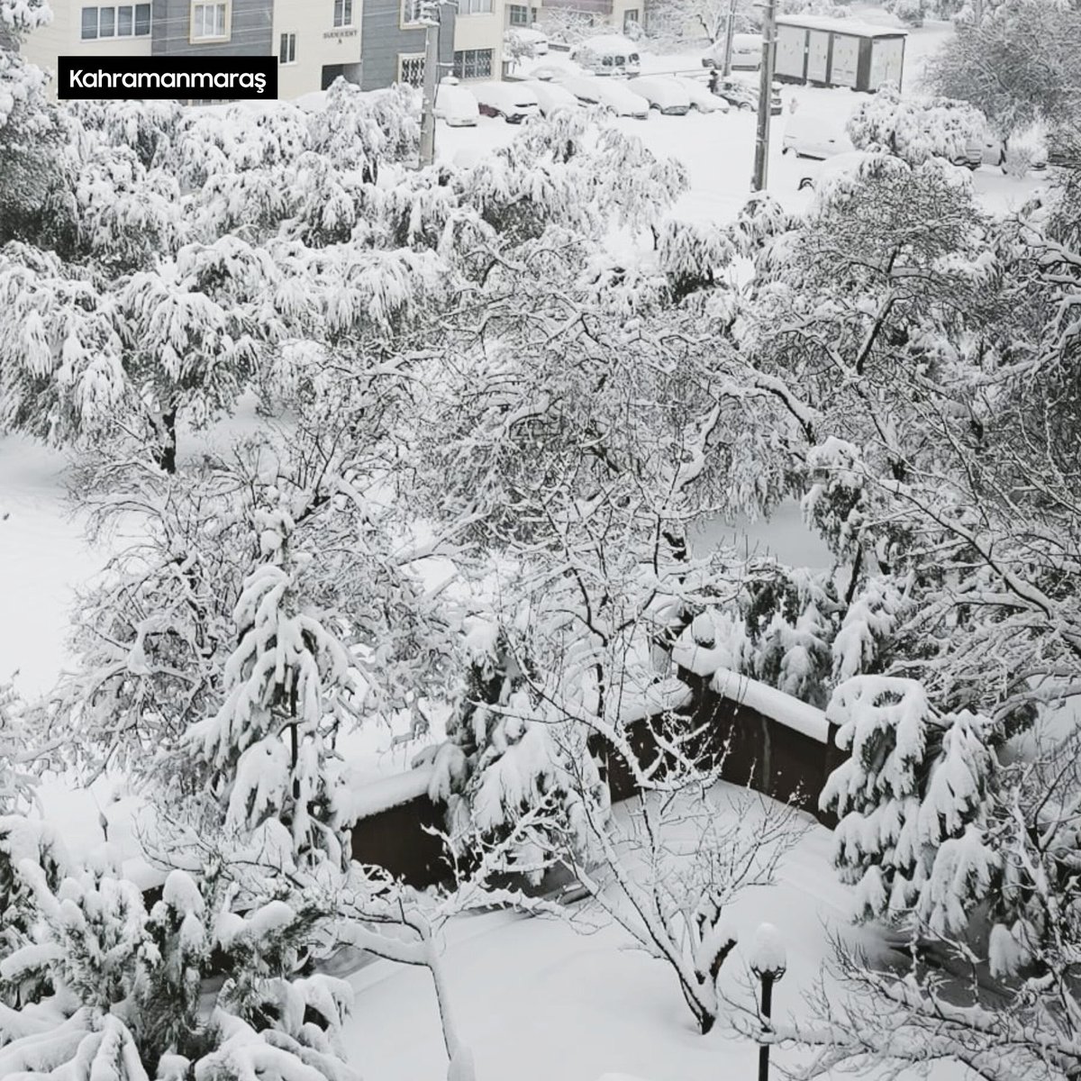 Kahramanmaraş Anlık... Çok mutlu... 😍❄️