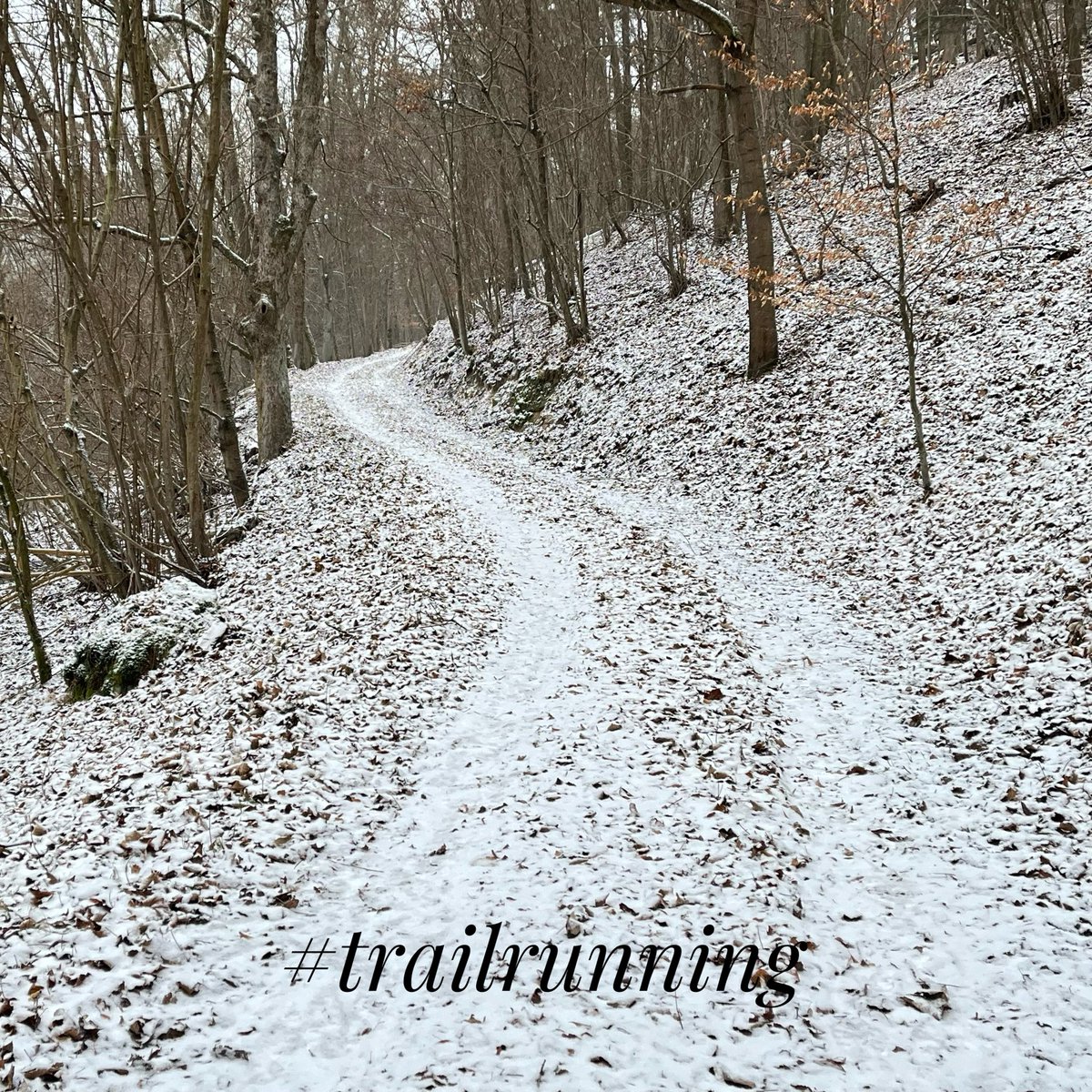 Petr Chlebek tweet media