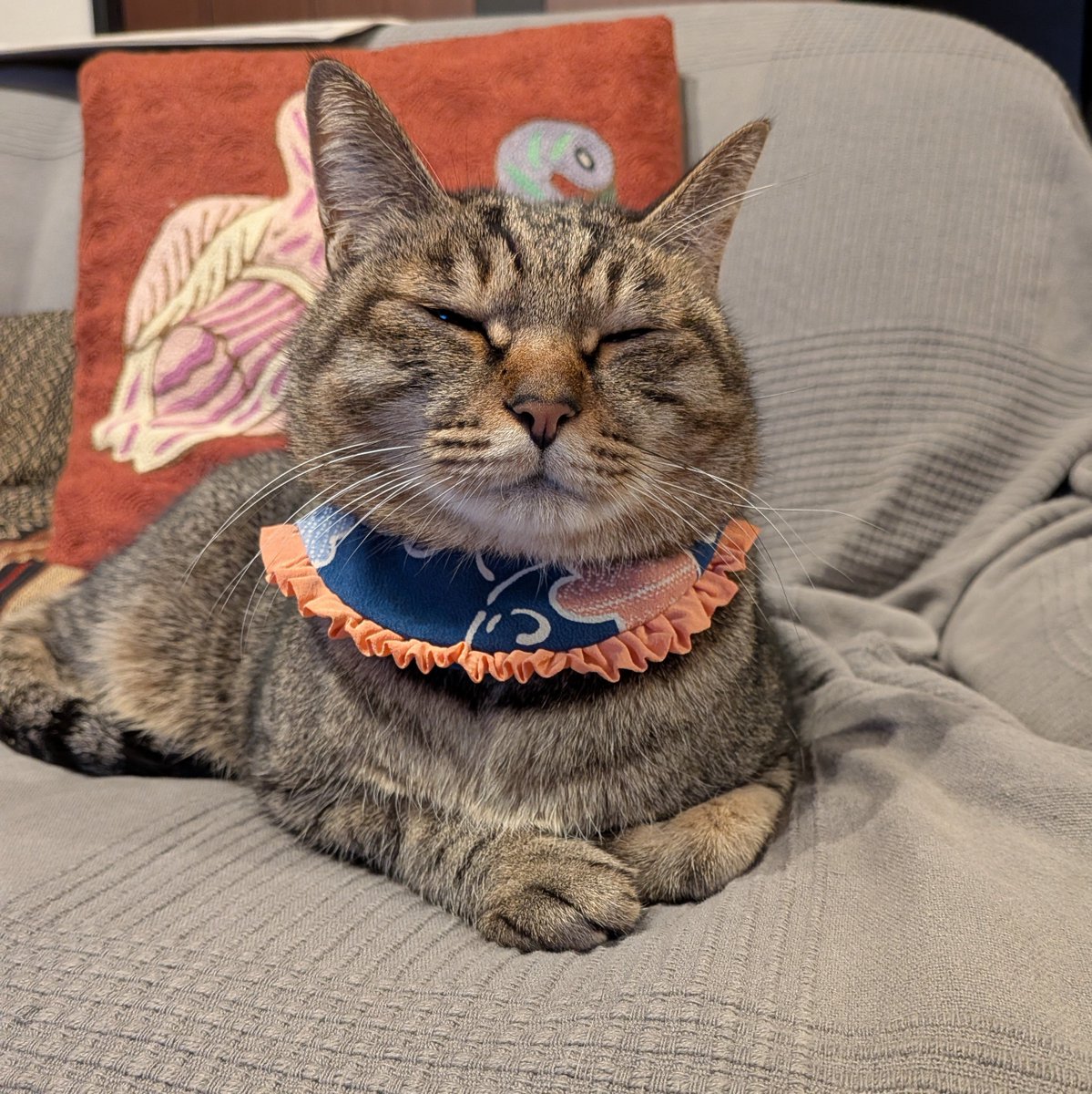 年越しのおともに、お腹いっぱいで幸せそうな猫ちゃんをどうぞ！