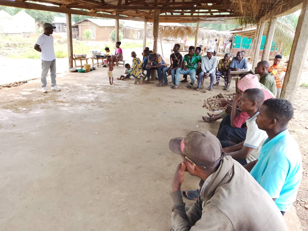 JVE International tweet media