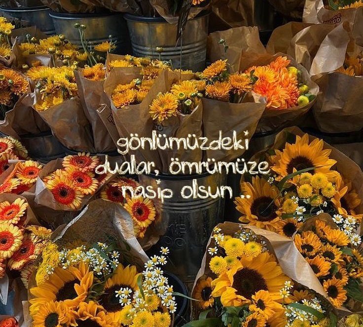 hatiramdakal's tweet photo. https://t.co/OE26I7EmJk