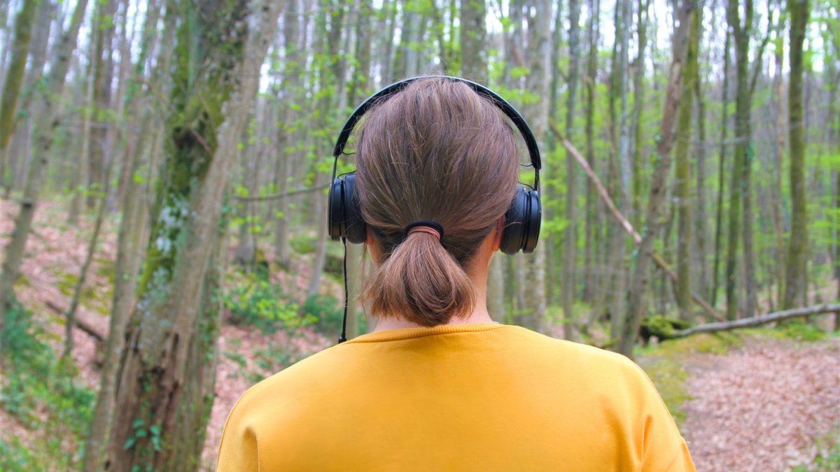 SomersetWT's tweet photo. Start the year gently 🌿 Join our New Year Wilder You campaign!

Take small steps to connect with nature - for your wellbeing, your community &amp; the planet.

We’ll guide you through, all January long!
👉 https://t.co/HwSn4V5xs1 https://t.co/XlPiQtNjLc