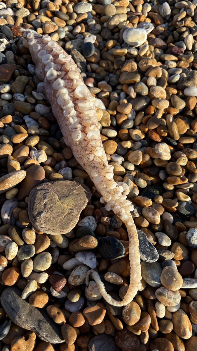 Bill Markham tweet media