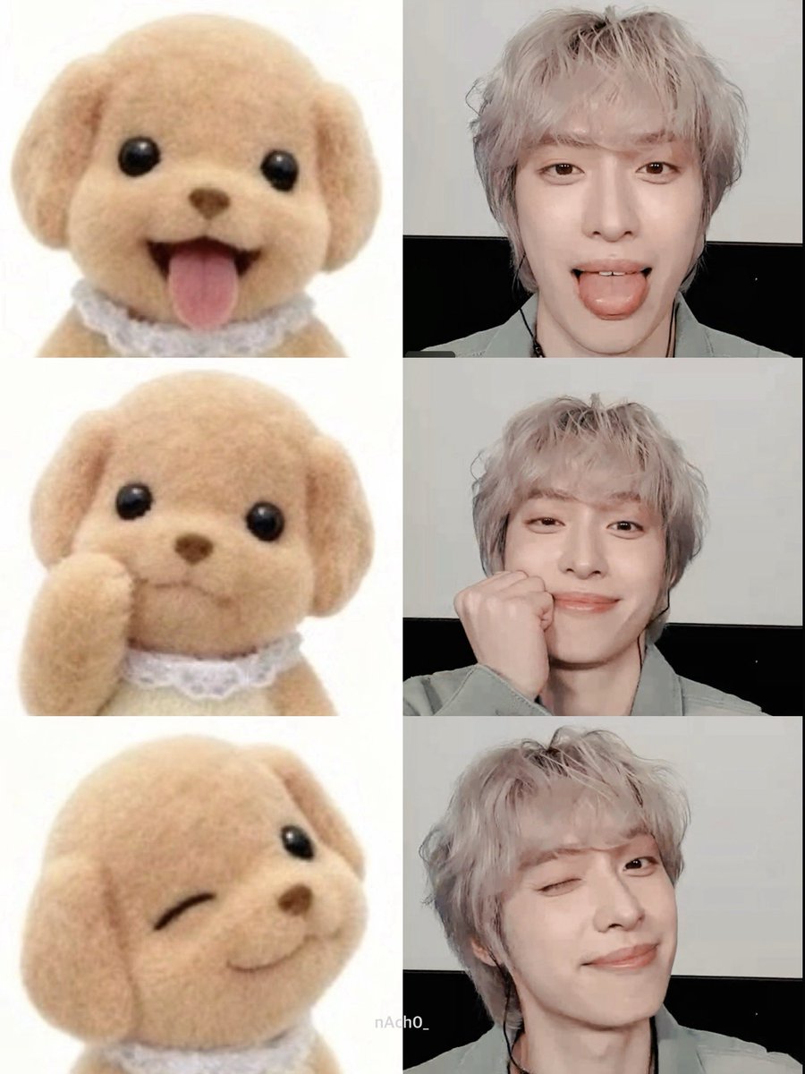 nAch0114_'s tweet image. 강아세컷 #가온