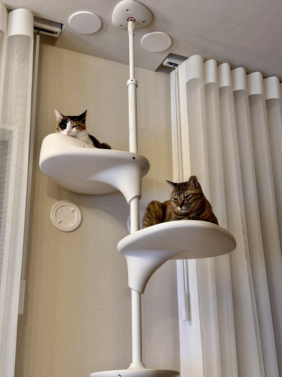 Девочки готовы к 2026