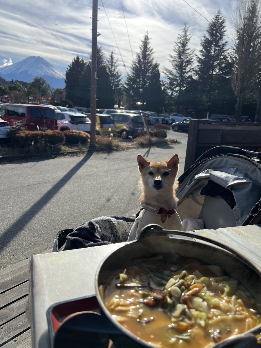 イヌとほうとうと富士山の大晦日。
来年もよろしくお願いします。