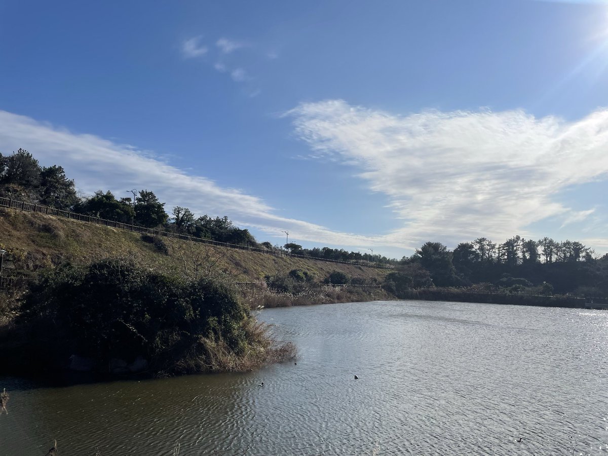 namej's tweet image. 오늘 산책 - 파란하늘, 쌀쌀