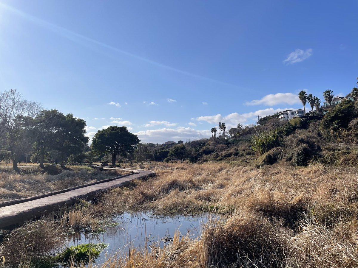 namej's tweet image. 오늘 산책 - 파란하늘, 쌀쌀